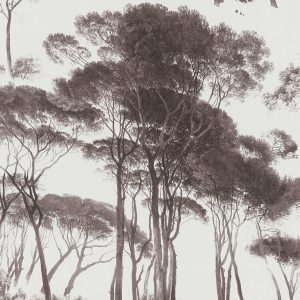 AS tapeta - History of Arts 376511A