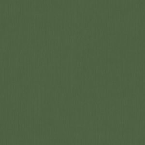 Alternative view of AS tapeta - Alpha 333703A