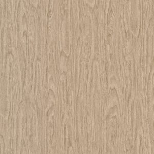 AS tapeta - Versace 4 370522A