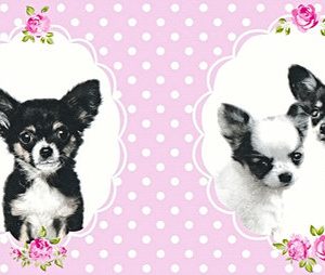 Alternative view of AS bordura - Little Stars  358502A