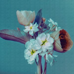 AS tapeta - Metropolitan Stories The WALL  382691A