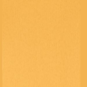 AS tapeta - Versace V 383845A