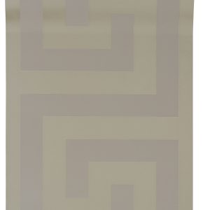 AS tapeta - Versace V  386092A