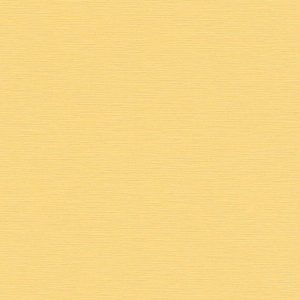 AS tapeta - PintWalls II 389036A