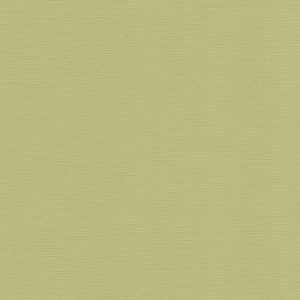 AS tapeta - PintWalls II 390974A