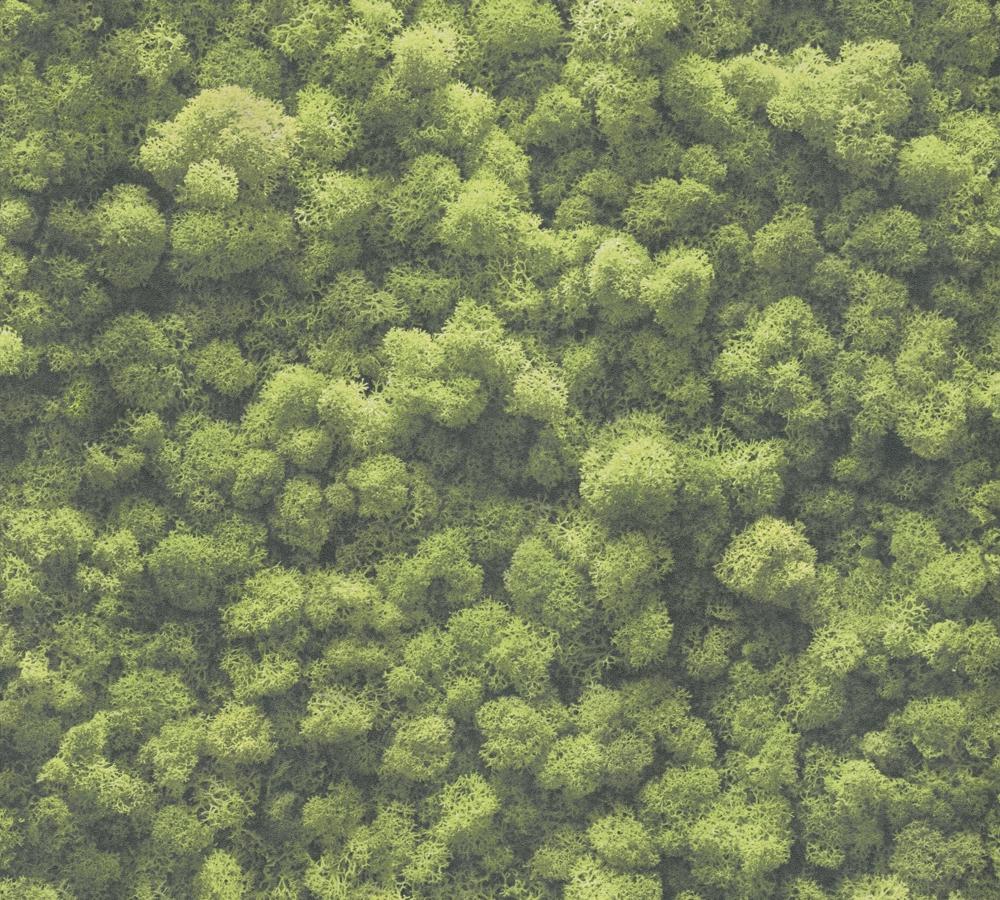 AS tapeta - PintWalls II 394051A