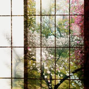 AS foto tapeta - Walls by Patel 2 - Orchard 1