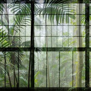 AS foto tapeta - Walls by Patel 2 - Rainforest 1