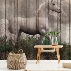 AS foto tapeta - Walls by Patel 2 - Fantasy 3