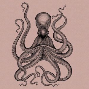 AS foto tapeta - Walls by Patel 2 - Jules 1