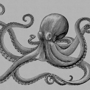 AS foto tapeta - Walls by Patel 2 - Jules 2