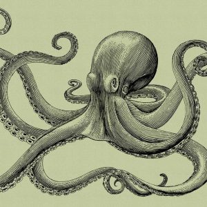 AS foto tapeta - Walls by Patel 2 - Jules 3