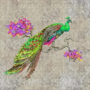AS foto tapeta - Walls by Patel 2 - Peacock 1