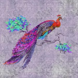 AS foto tapeta - Walls by Patel 2 - Peacock 3