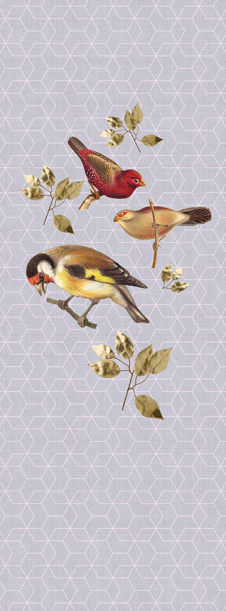 AS foto tapeta - Walls by Patel 2 - Brilliant Birds Panel