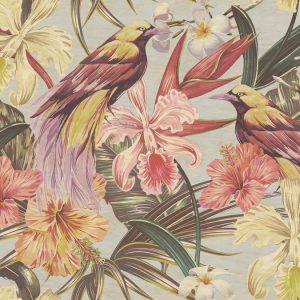 AS foto tapeta - Walls by Patel 2 - Exotic Birds 1