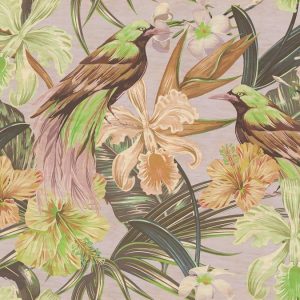 AS foto tapeta - Walls by Patel 2 - Exotic Birds 2