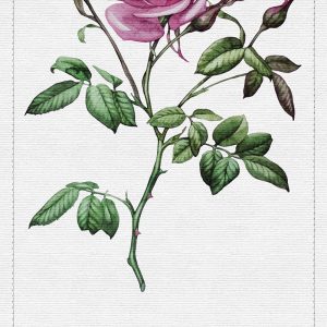 AS foto tapeta - Walls by Patel 2 - Spring Panels 2