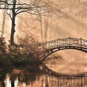 Foto tapeta - Park Bridge 2