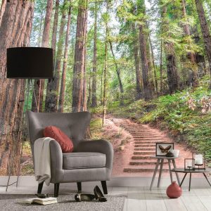 Alternative view of Foto tapeta - Forest Walk 1