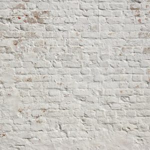 Foto tapeta - Brick White