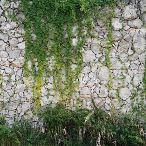 Foto tapeta - Stone wall