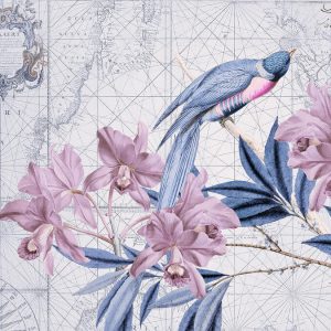 Livingwalls fototapeta - BirdDiscovery2 DD119721