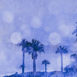 Livingwalls fototapeta - PalmOasis2 DD119757