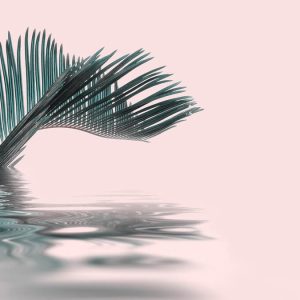 Livingwalls fototapeta - PalmLeafWater DD119785