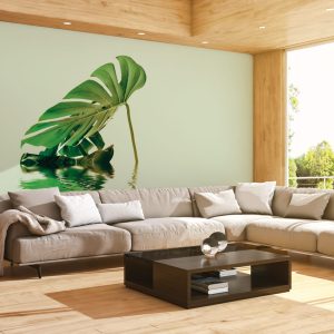 Alternative view of Livingwalls fototapeta - MonsteraLeafW2 DD119793