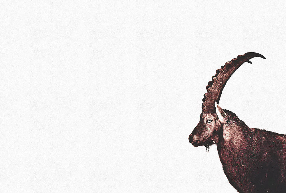 Livingwalls fototapeta - CapricornSnow DD119813