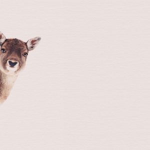 Livingwalls fototapeta - DeerRose DD119837