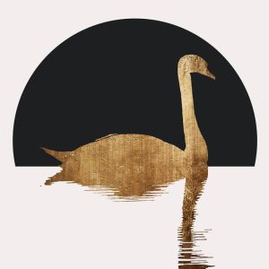 Livingwalls fototapeta - TheSwan1 DD119885