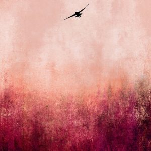 Livingwalls fototapeta - WarmSunset DD119921