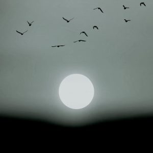 Livingwalls fototapeta - WinterLights DD119929