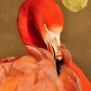 Livingwalls fototapeta - FlamingoInSun DD119957