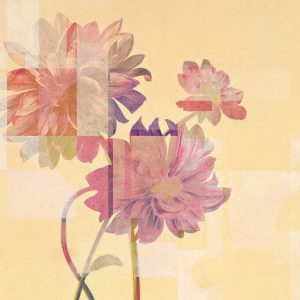 AS foto tapeta - Walls by Patel 3 - Queens Garden2