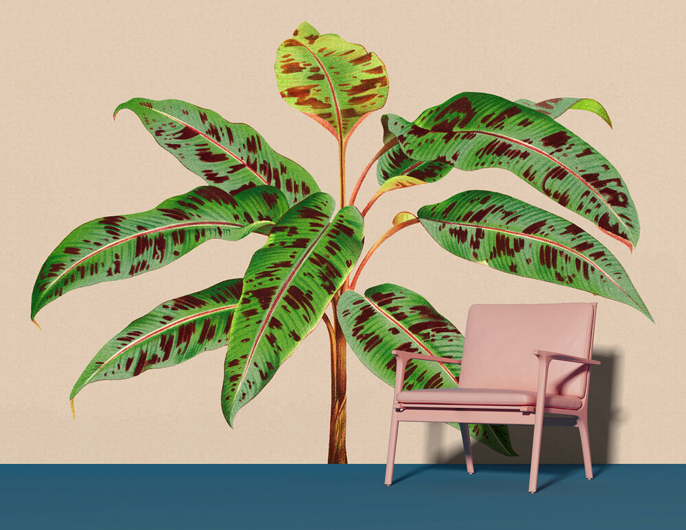 AS foto tapeta - Walls by Patel 3 - Leaf Garden 4 - slika 2