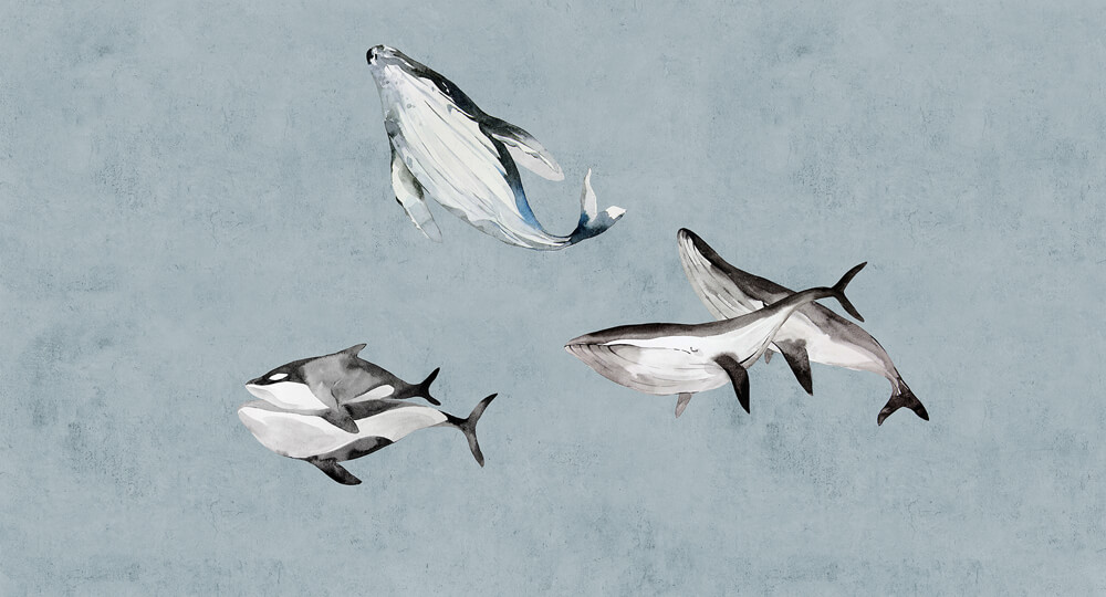 AS foto tapeta - Walls by Patel 3 - Oceans Five 2