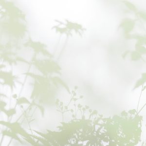 AS foto tapeta - Walls by Patel 3 - Shadow Room 3