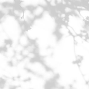 AS foto tapeta - Walls by Patel 3 - Light Room 1