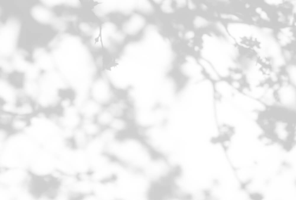 AS foto tapeta - Walls by Patel 3 - Light Room 1