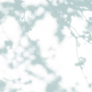 AS foto tapeta - Walls by Patel 3 - Light Room 2