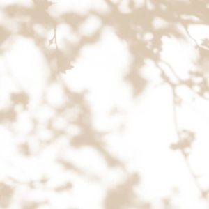 AS foto tapeta - Walls by Patel 3 - Light Room 3