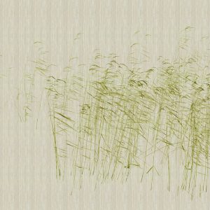 AS foto tapeta - Walls by Patel 3 - At The Pond 1