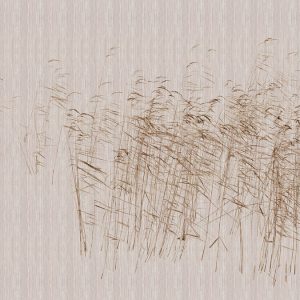 AS foto tapeta - Walls by Patel 3 - At The Pond 3