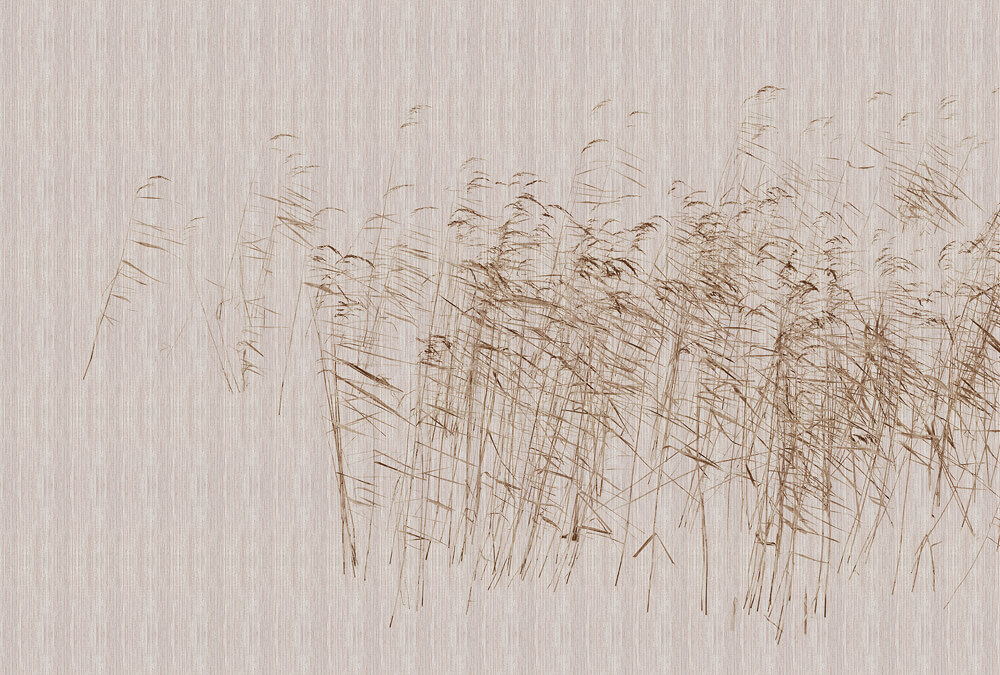 AS foto tapeta - Walls by Patel 3 - At The Pond 3