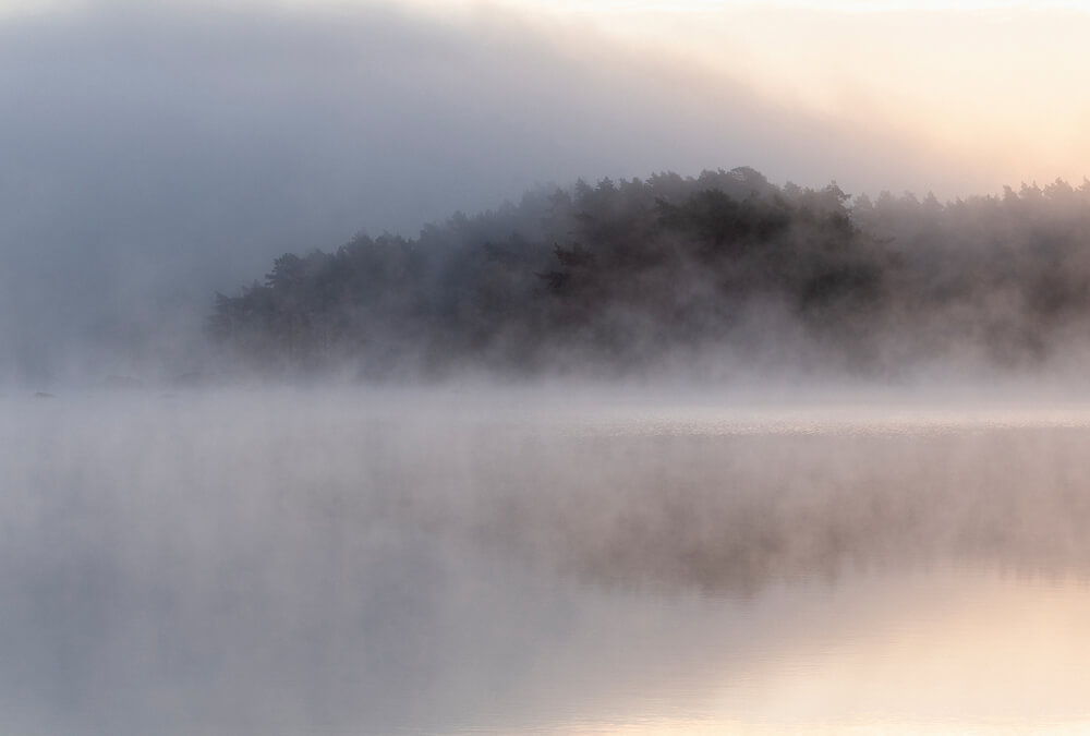 AS foto tapeta - Walls by Patel 3 - Avalon 1