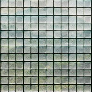 AS foto tapeta - Walls by Patel 3 - Greenhouse 3