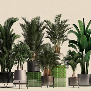 AS foto tapeta - Walls by Patel 3 - Plant Shop 1